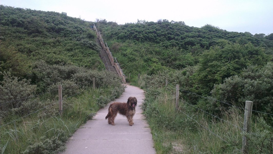 2014 Ile de Noirmoutiers Sylt (339)